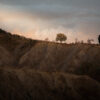CLC08950 A moody, minimalistic shot of a lone tree on a hilltop, silhouetted against a dramatic sunrise sky