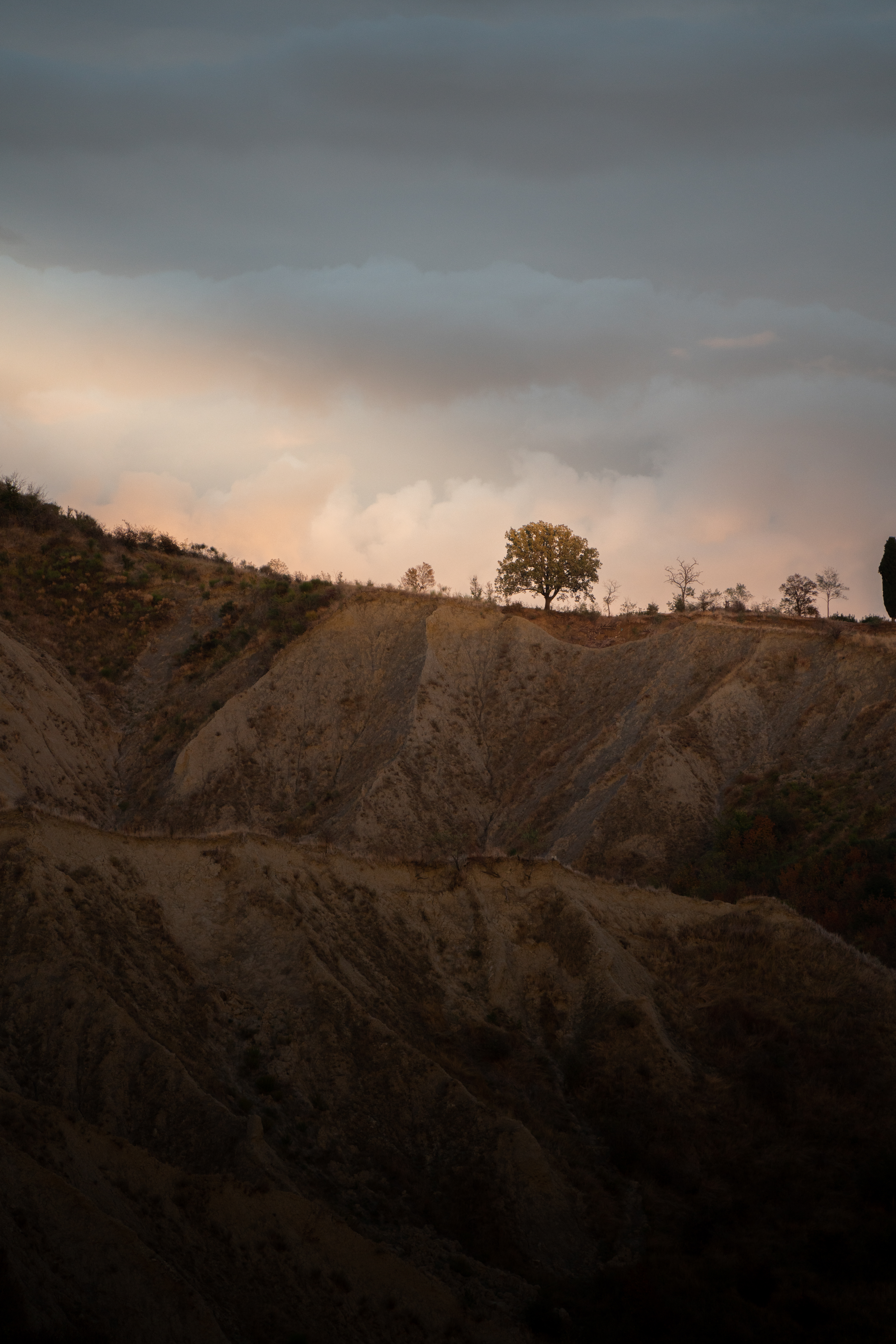 A moody, minimalistic shot of a lone tree on a hilltop, silhouetted against a dramatic sunrise sky