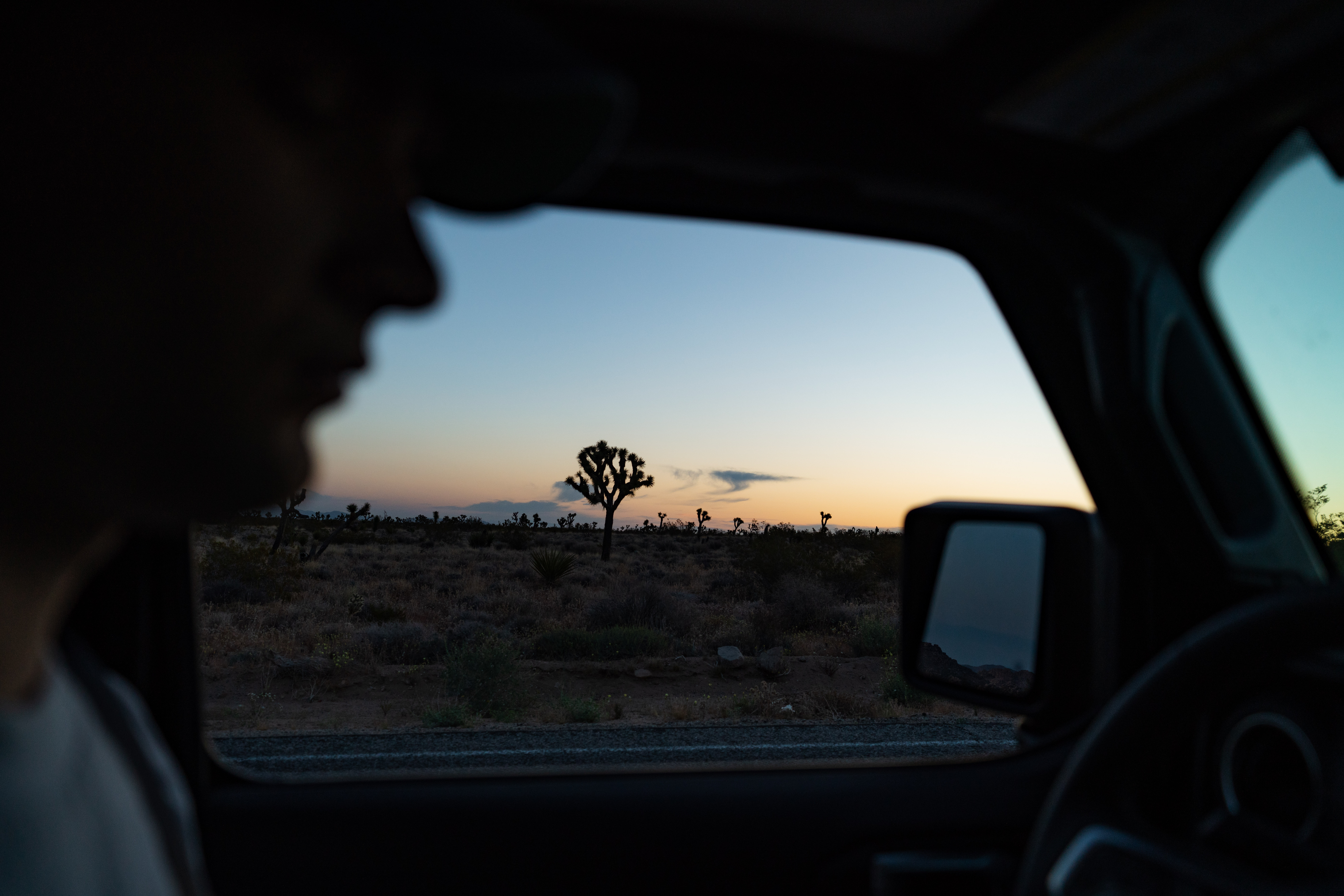 Sunrise silhouettes Joshua Trees against golden sky, viewed through car window at Joshua Tree National Park, California