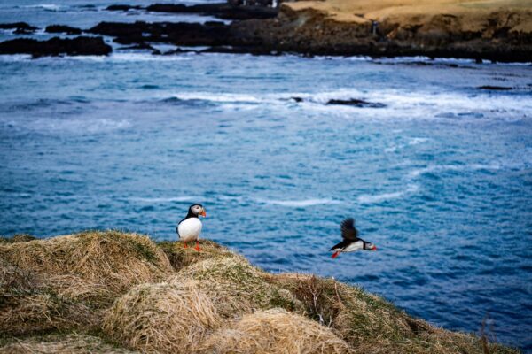 Not your average couple