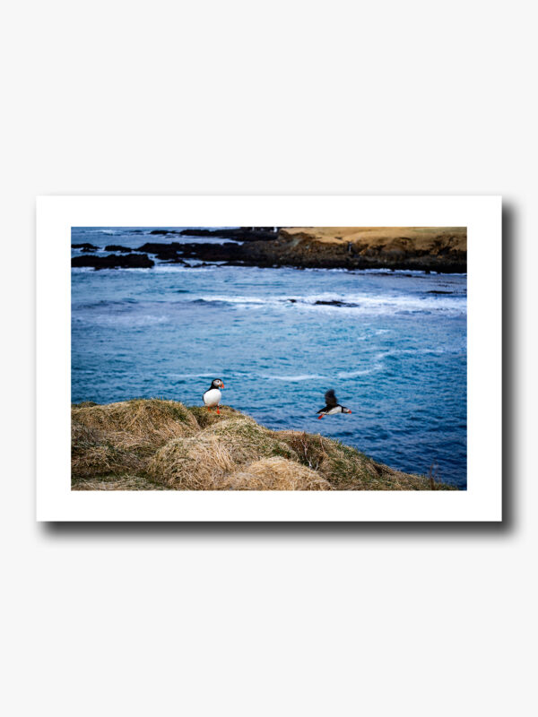 Not your average couple