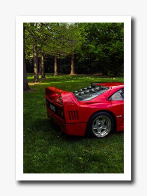 Red Power, Green Peace